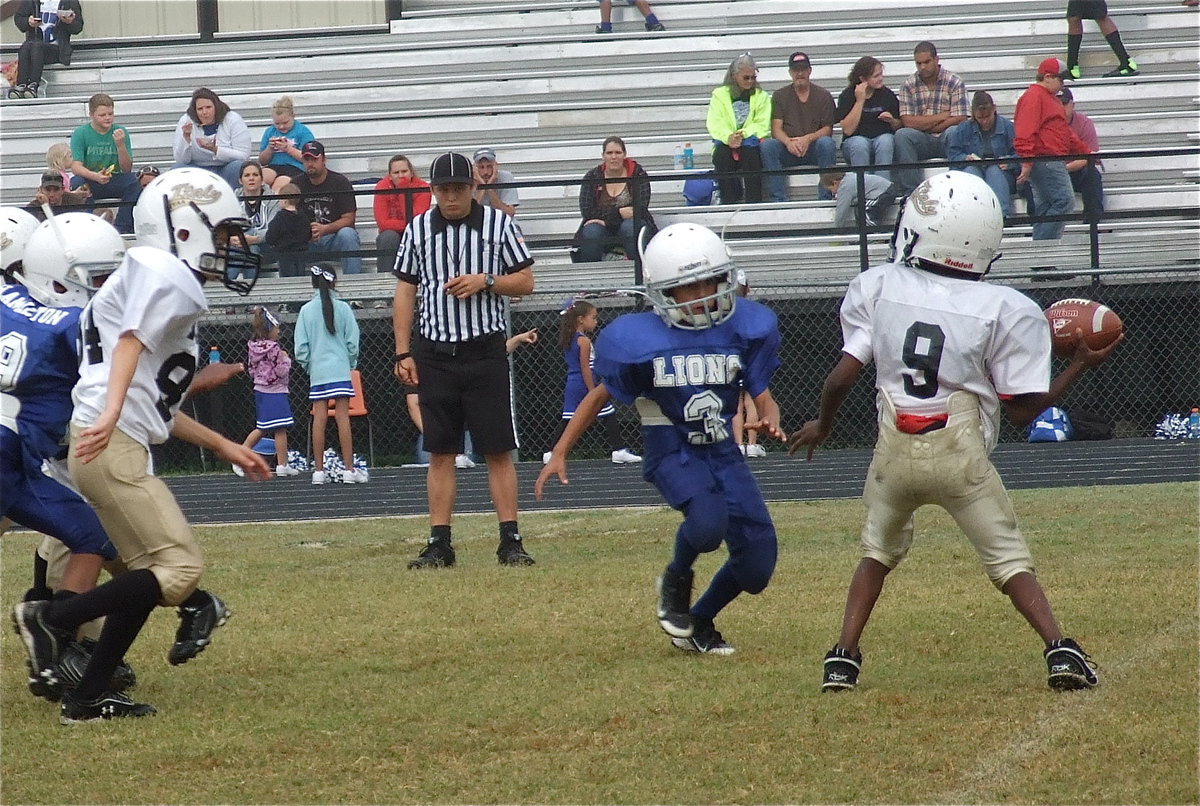 Image: John Hall(9) attempts a pass against the Lions.