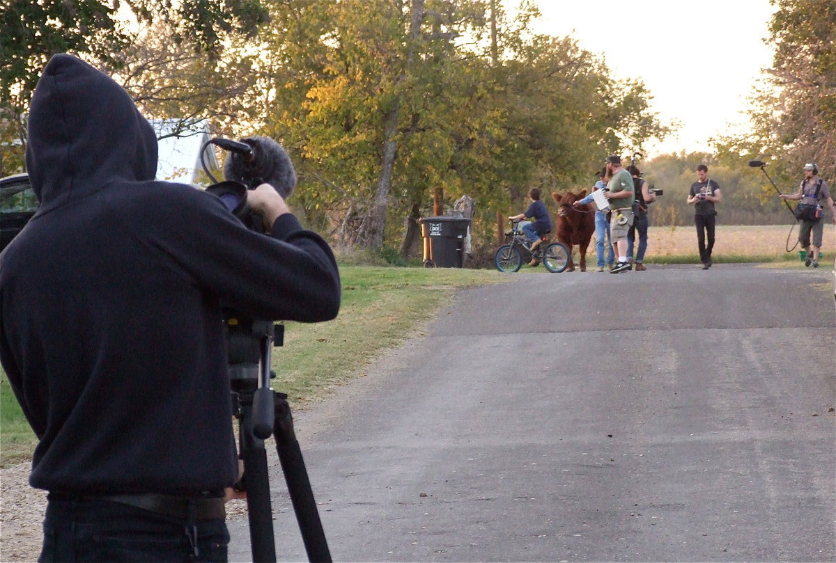 Image: Moe Frances walks a calf down the street while the film crews catch the scene from different angles.