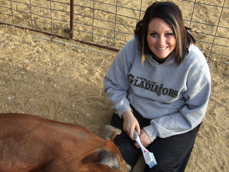 Image: Breyanna Beets keeps her pig clean and brushed for the upcoming show in March 2013.