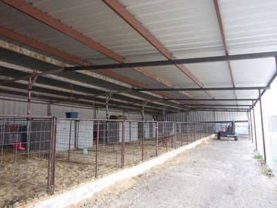 Image: New Ag barn has an extended roof to keep the animals warm and dry.