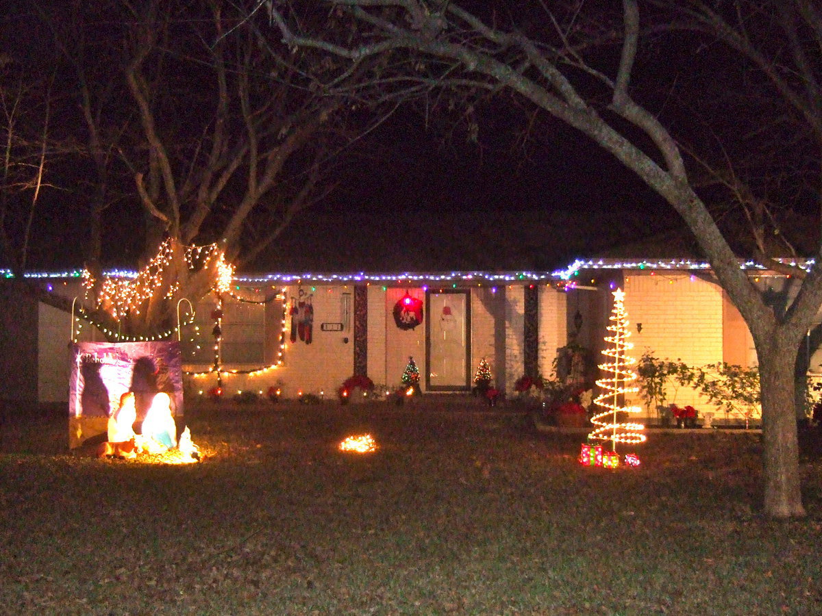 Image: All lit up in the Spirit of Christmas.