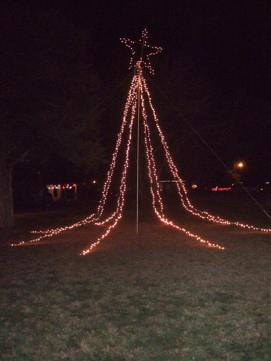 Image: Christmas tree of lights.