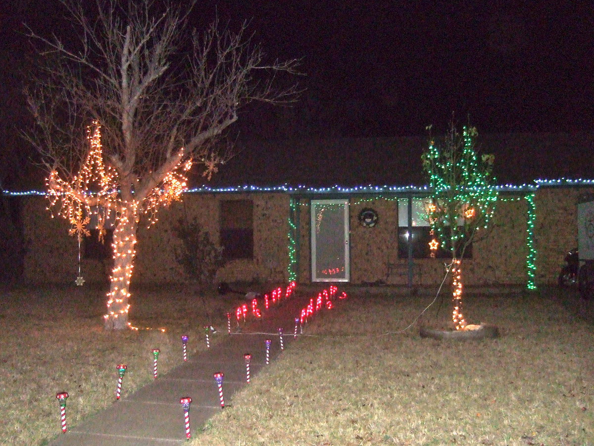 Image: Trees of lights.