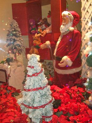 Image: One of the Magic Mirror store front windows featuring Santa.