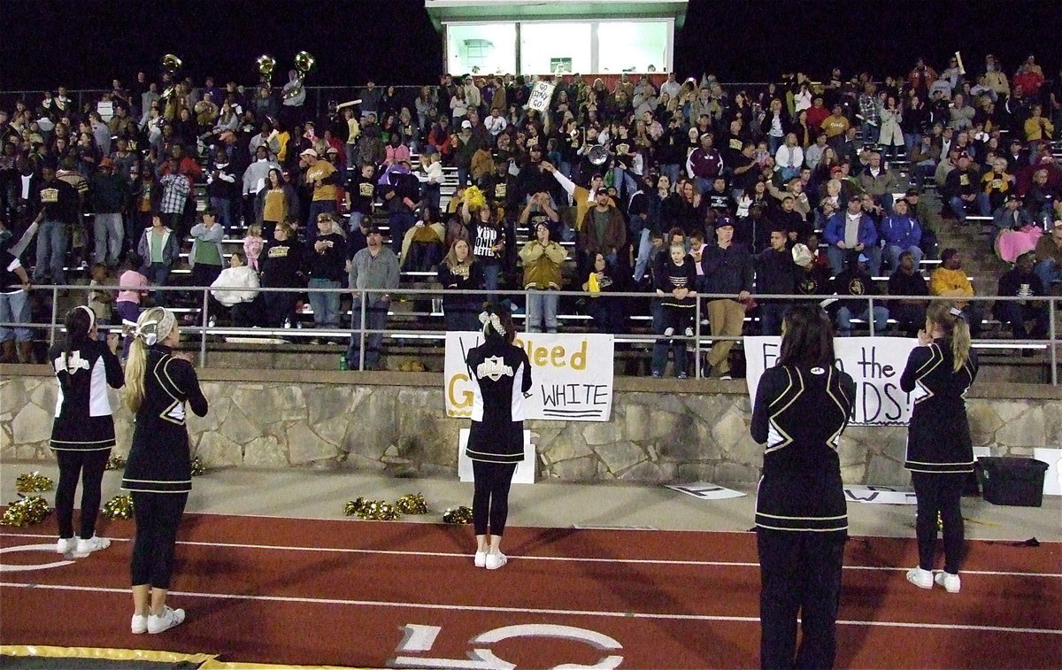 Image: The cheerleaders keep Gladiator Nation fired up!