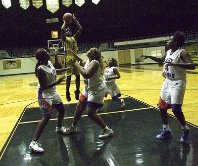 Image: Pulling up for a jumper while surrounded by Lady Gators is Italy’s Kortnei Johnson(3).