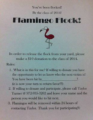 Image: The Italy HS Class of 2014 has started their “Flamingo” fundraiser. The cost is $10.00 to participate. Who knows, your yard may be next…!