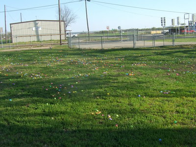 Image: There are over 4,000 eggs for the students to find.