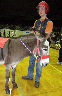 Image: Chase Hamilton prepares to mount up on the back of his donkey.