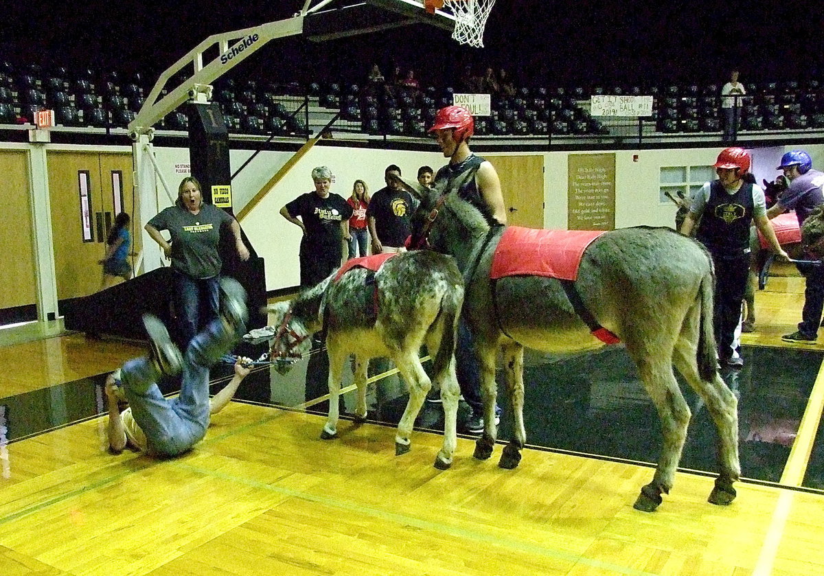 Image: The look on wife Kim Varner’s face is priceless as her husband Stevan Varner lands arse first after being bucked from his donkey. Kim is the receptionist at Italy ISD and both Kim and Stevan own Varner’s Alon gas station in downtown Italy.