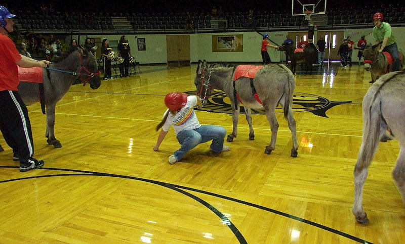 Image: Madison Washington falls from her donkey.