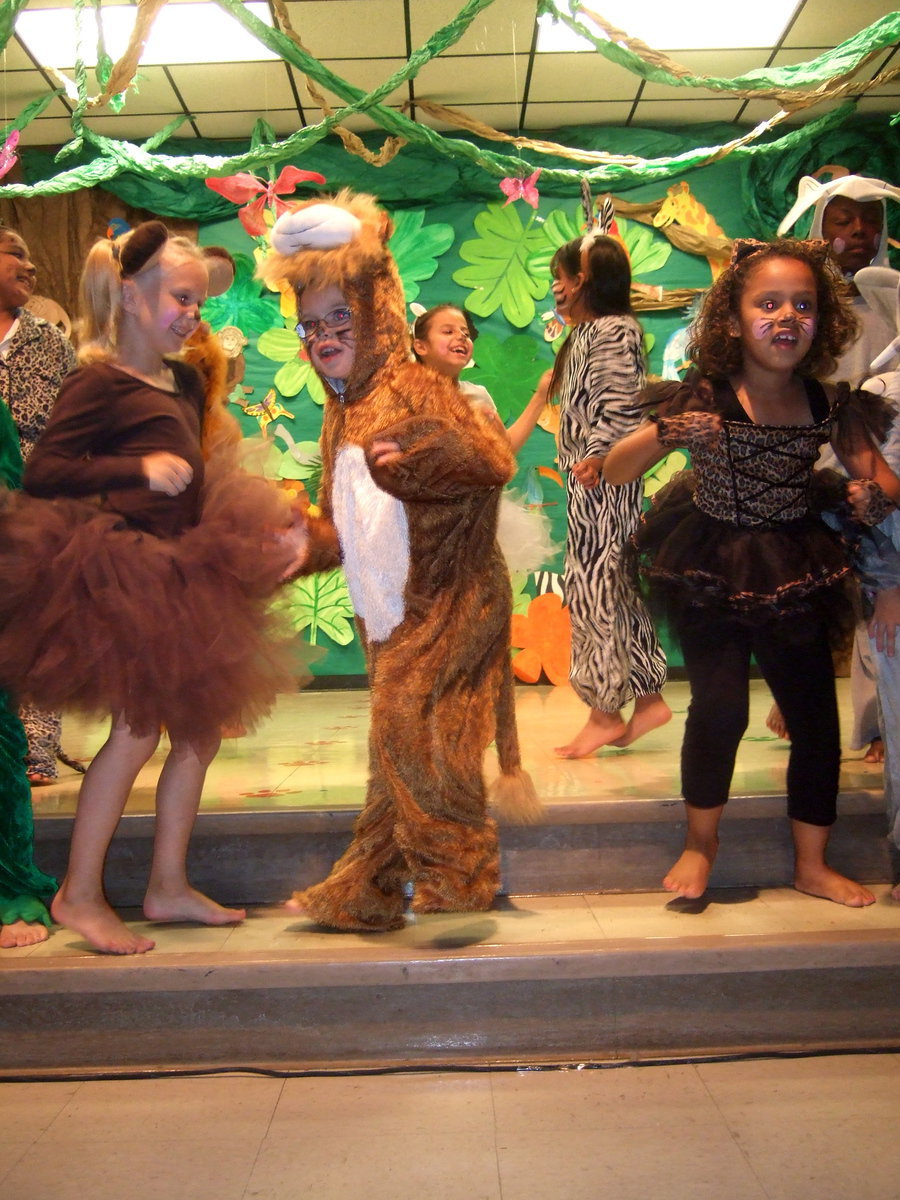 Image: Cutest jungle animals singing ‘The Lion Sleeps Tonight.’