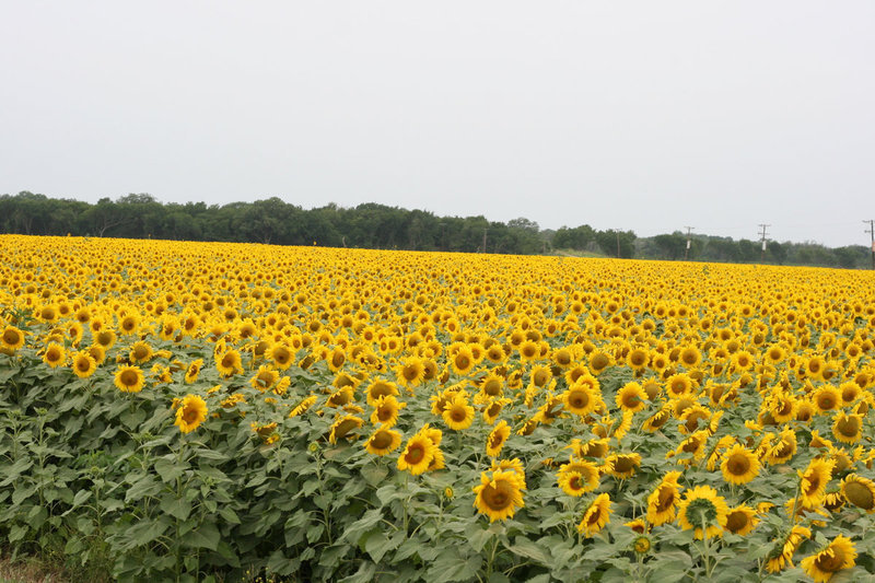 Image: One of the favorite sights for the cyclists is located between Italy and Avalon.