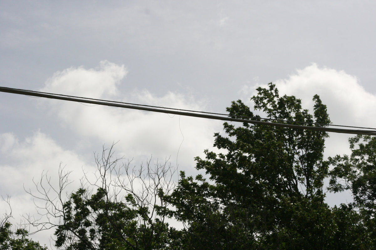 Image: The electrical line that was pulled down by a dump truck.