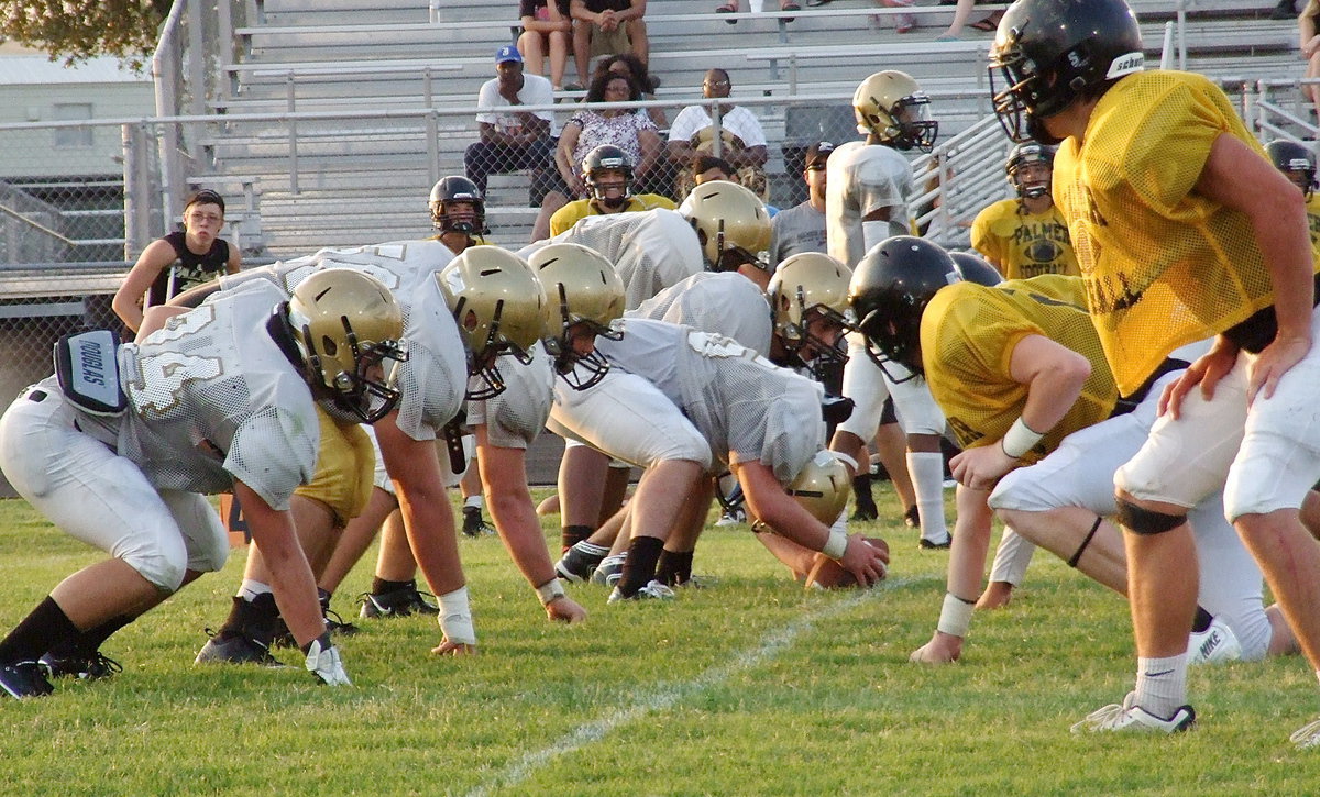 Image: This is the group that could be the difference maker for the Gladiators this season with junior center Kyle Fortenberry(75) being the man in the middle for Italy’s offensive line.