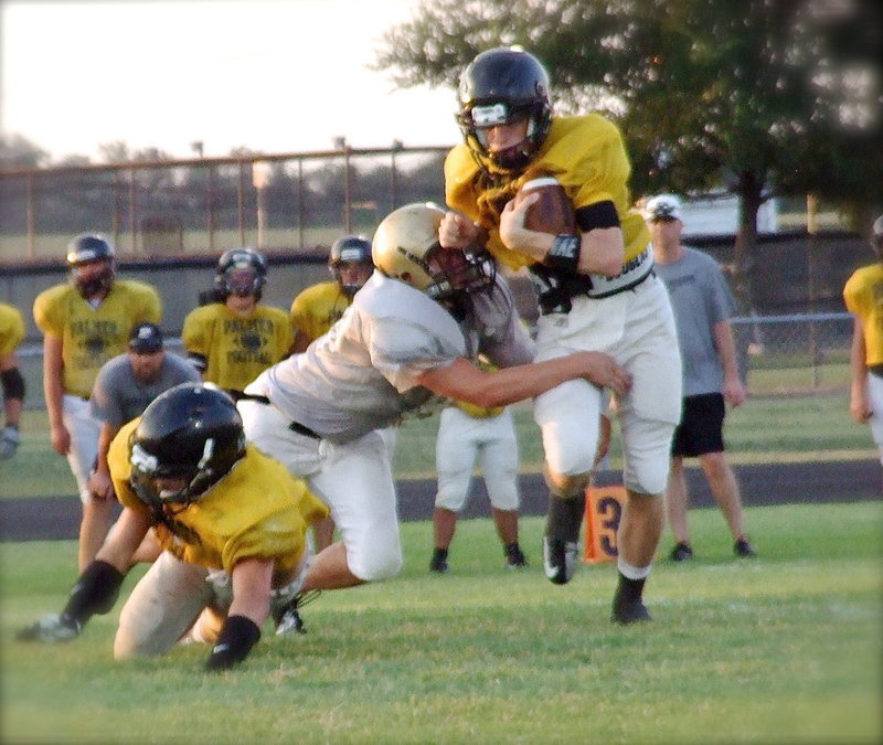 Image: Gladiator senior defensive end, Bailey Walton(99), tries to make a tackle in the backfield on Palmer’s quarterback.