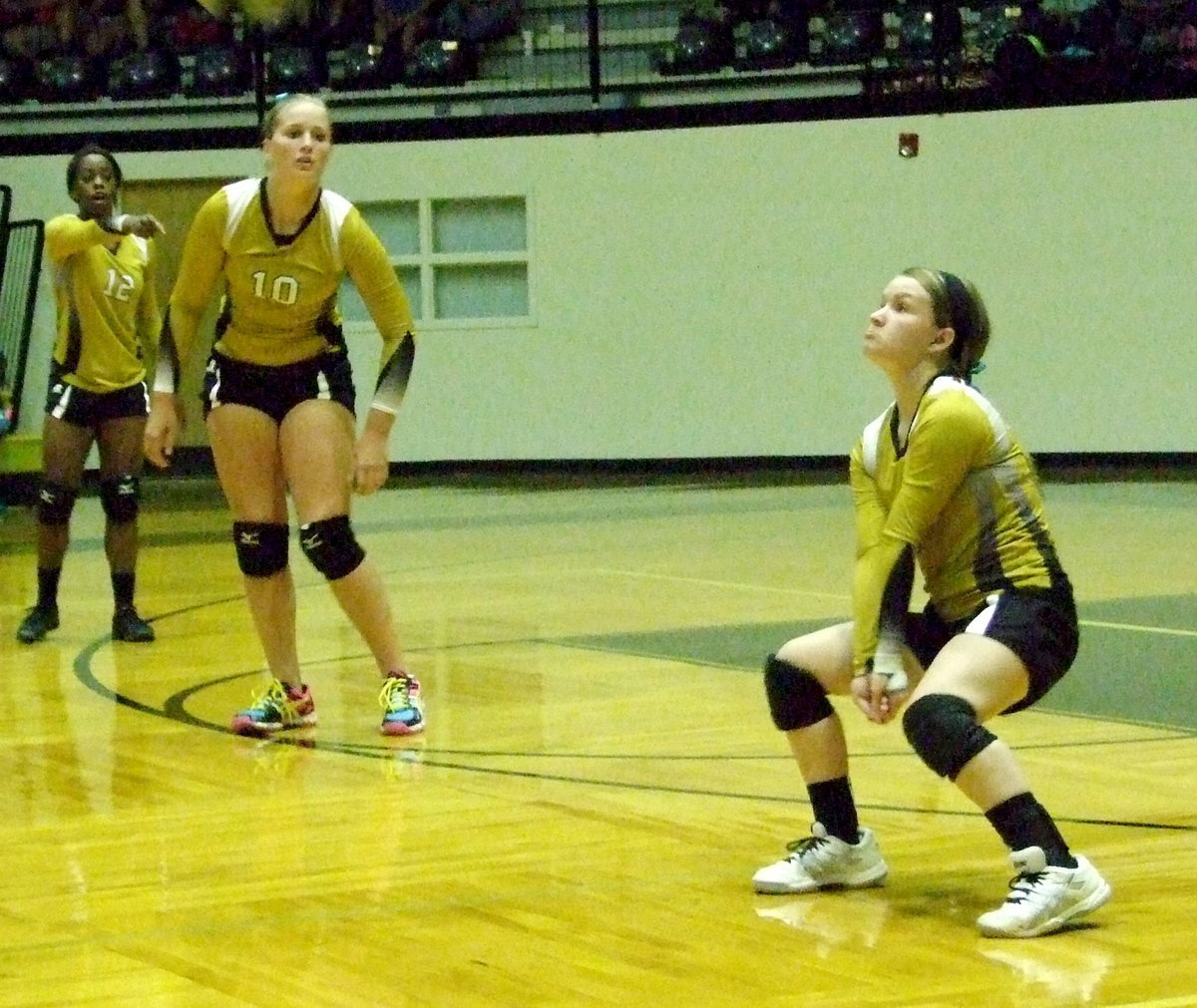 Image: Lady Gladiator Tara Wallis(5) readies to bump the ball.