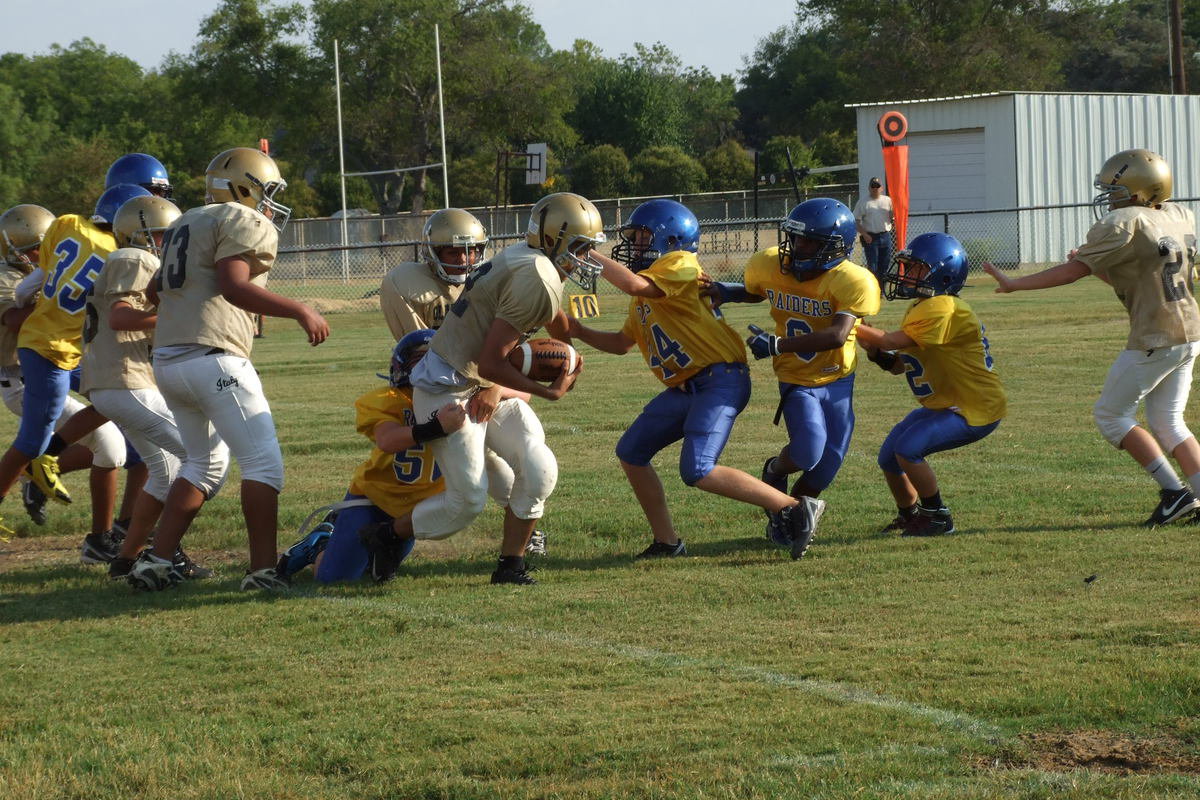 Image: During the 7th Grade grdi-iron clash between Italy and Sunnyvale, Jonathan Salas(22) drags Raider tackles for extra yards.