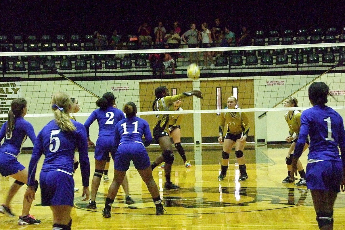 Image: Kortnei Johnson(12) bumps the ball to her teammates.