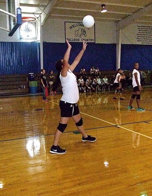 Image: Italy 8th grader Jenna Holden(34) serves for Italy during their battle in Bulldog Country.