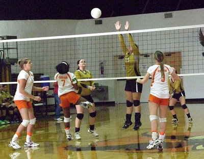 Image: Jaclynn Lewis(13) tries to wall off the net.