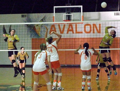 Image: This is an illusion. The play on the left with Jaclynn Lewis(13) rising at the net never happened but the spike by Madison Washington(13) on the right was very real as far as Avalon’s defense was concerned.