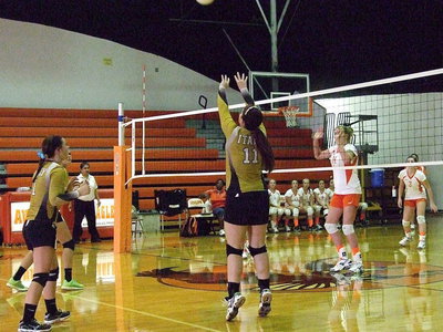 Image: Lady Gladiator Paige Westbrook(11) sets the ball to her teammates.