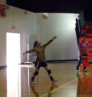 Image: Tara Wallis(5) is about to high five the volleyball over the net.