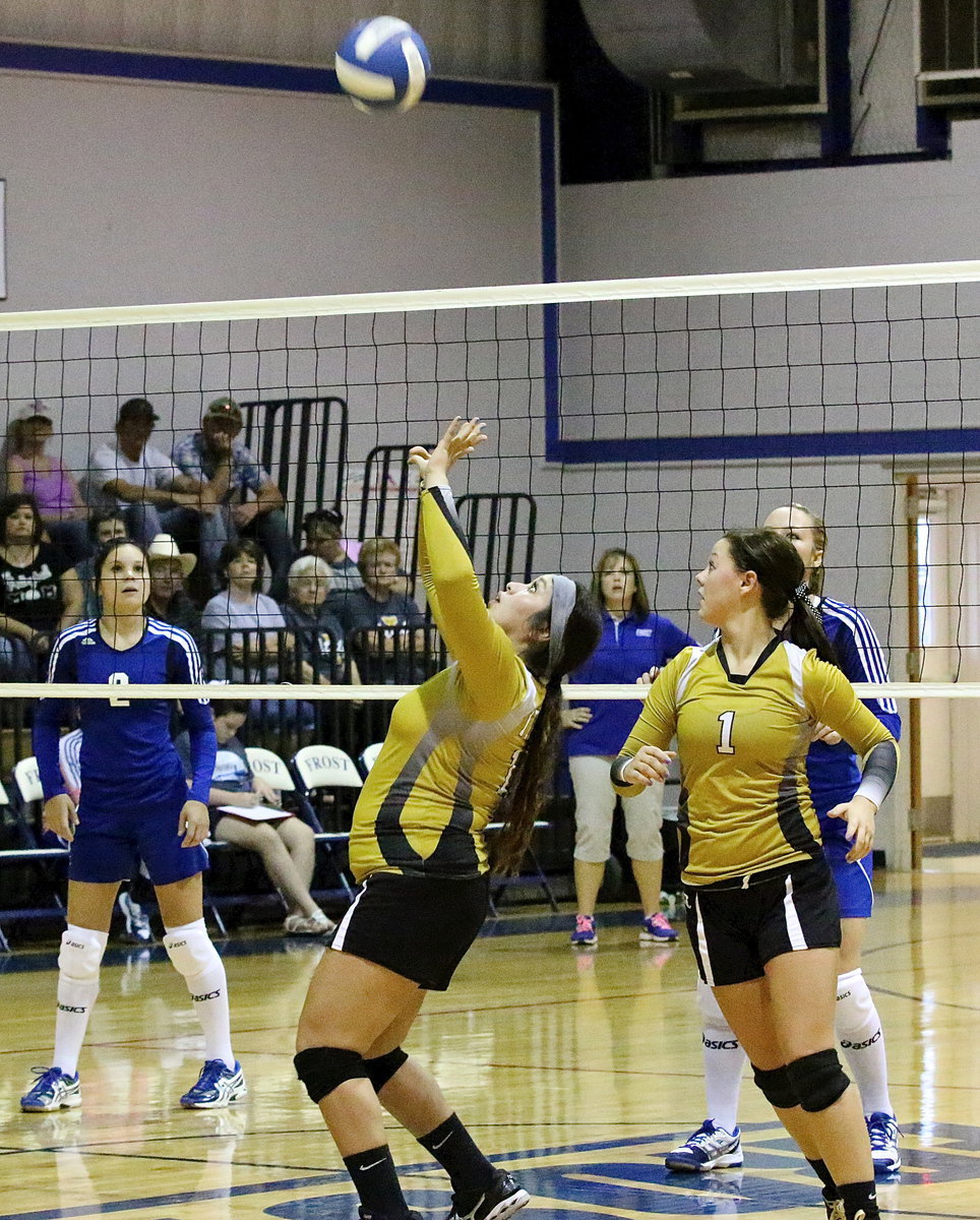 Image: Lady Gladiator senior Monserrat Figueroa(15) sets the ball as junior teammate Bailey Eubank(1) hurries into position.