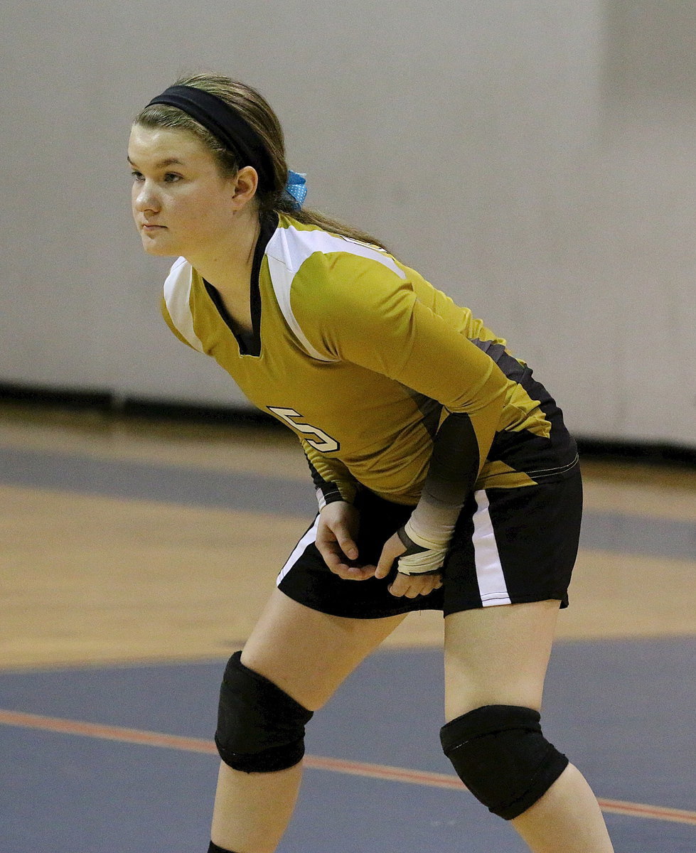 Image: Tara Wallis(5) prepares herself for the incoming serve from a Polar Bear paw.