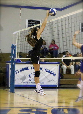 Image: Jozie Perkins(8) rises at the net for Italy.