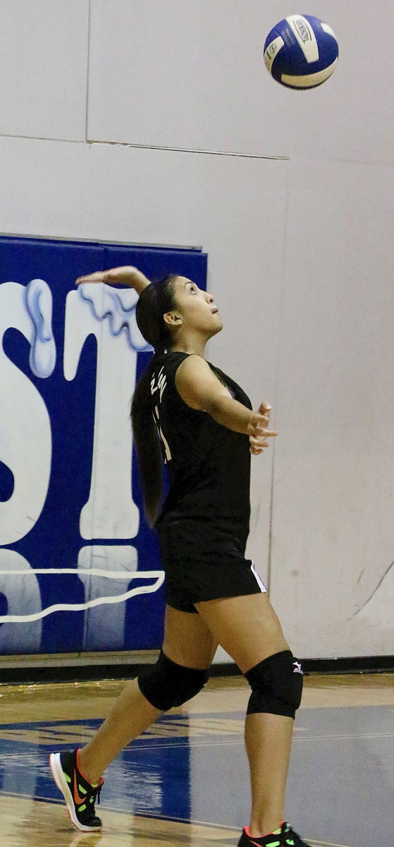 Image: Elizabeth “Lizzy” Garcia serves for the JV Lady Gladiators.