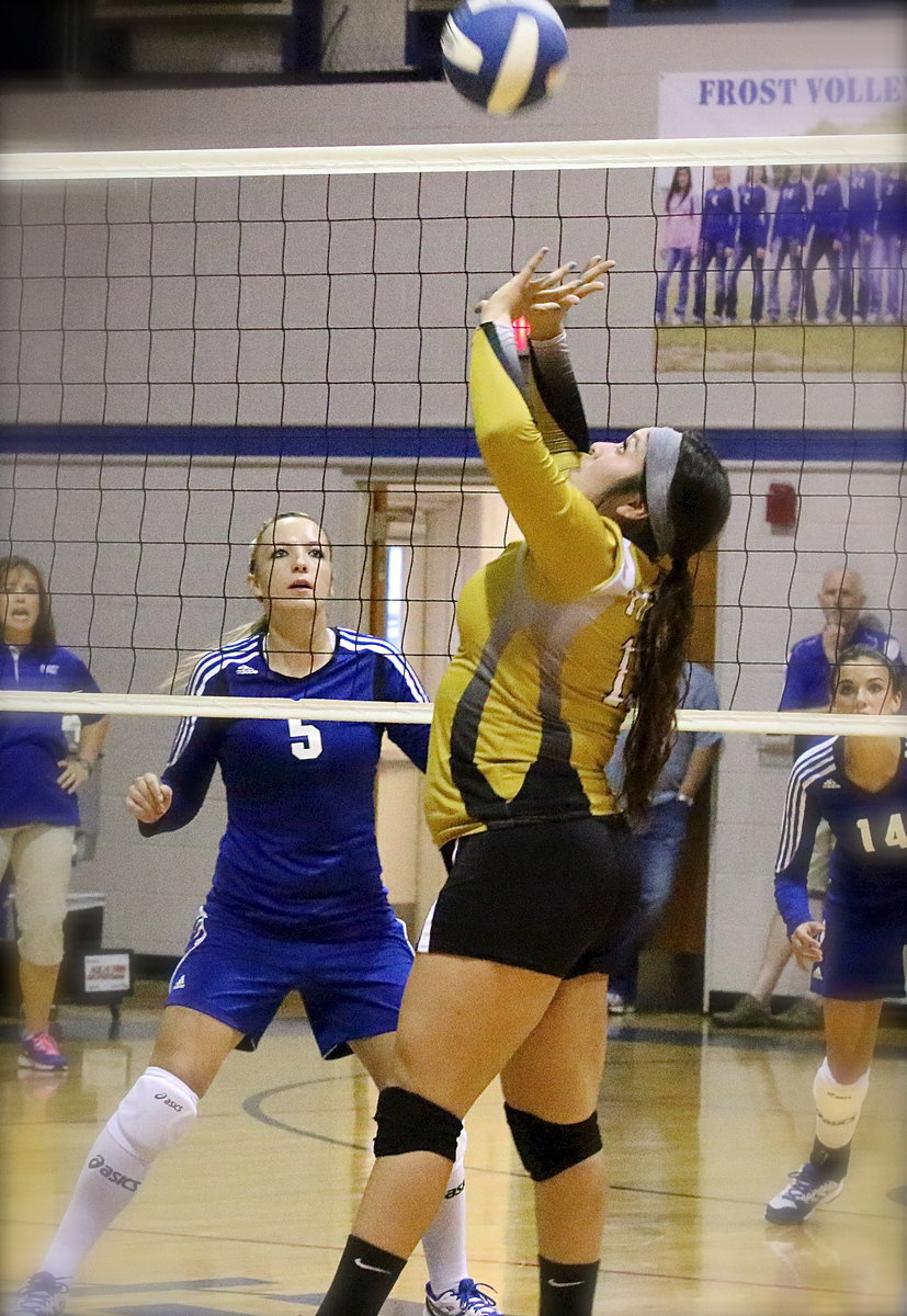 Image: Monserrat Figueroa(15) sets the ball for Italy.