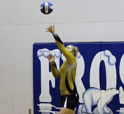 Image: Serving to Frost is Lady Gladiator junior Jaclynn Lewis(15).