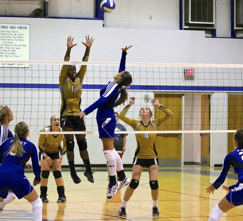 Image: Italy Lady Gladiator Kortnei Johnson(12) tries to pressure a Frost player high above the net during Tuesday night action in Frost. The Lady Polar Bears defended their territory with a 3 set win.