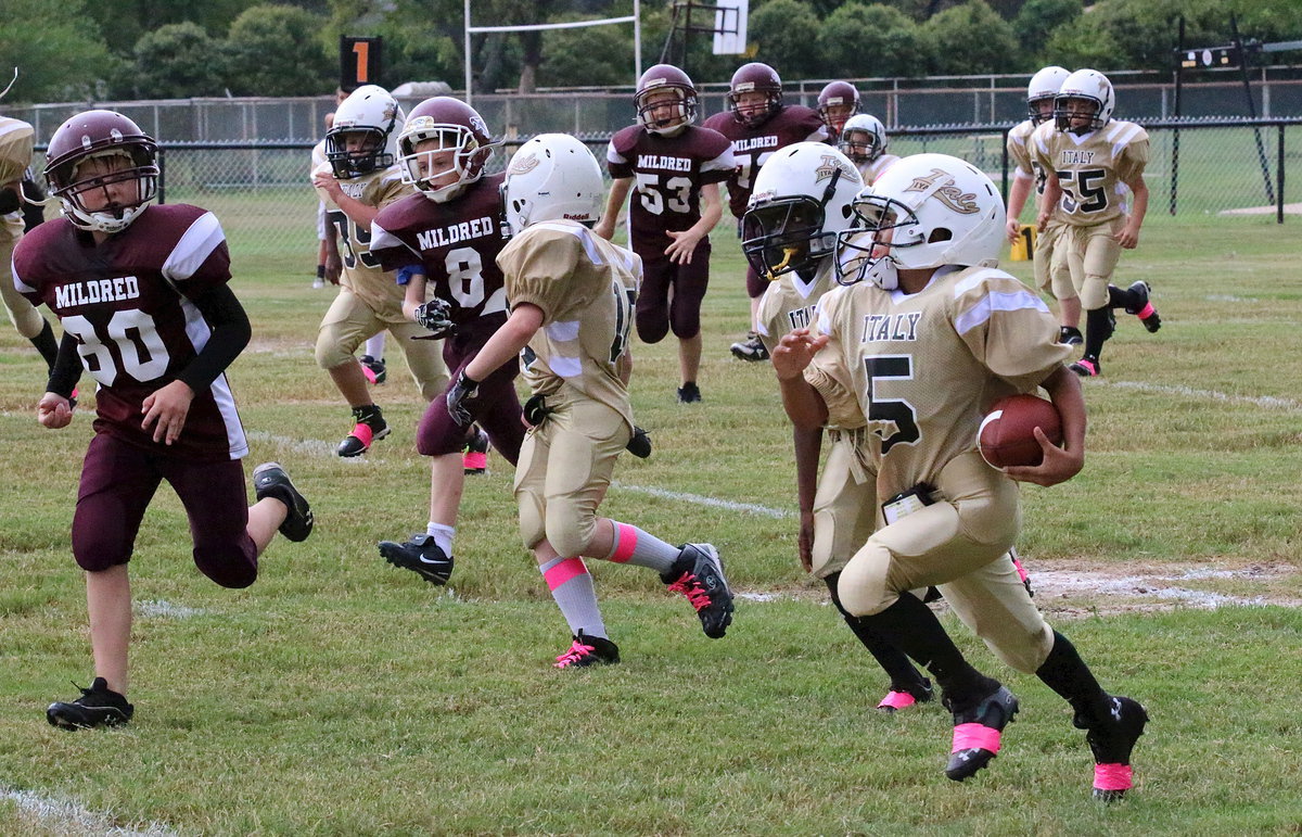 Image: B-team Gladiator Jeremy Munos(5) follows his chariot convoy as Ty Cash(10) and John Hall(9) lead the way.