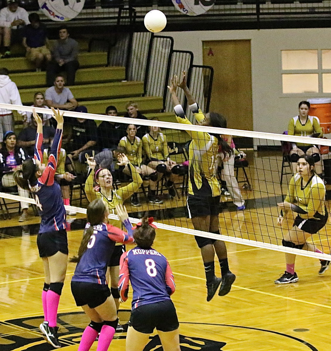 Image: Lady Gladiator Kortnei Johnson(12) flotas above the net.