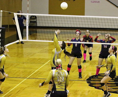 Image: Paige Westbrook(11)sets the ball for the Lady Gladiators.