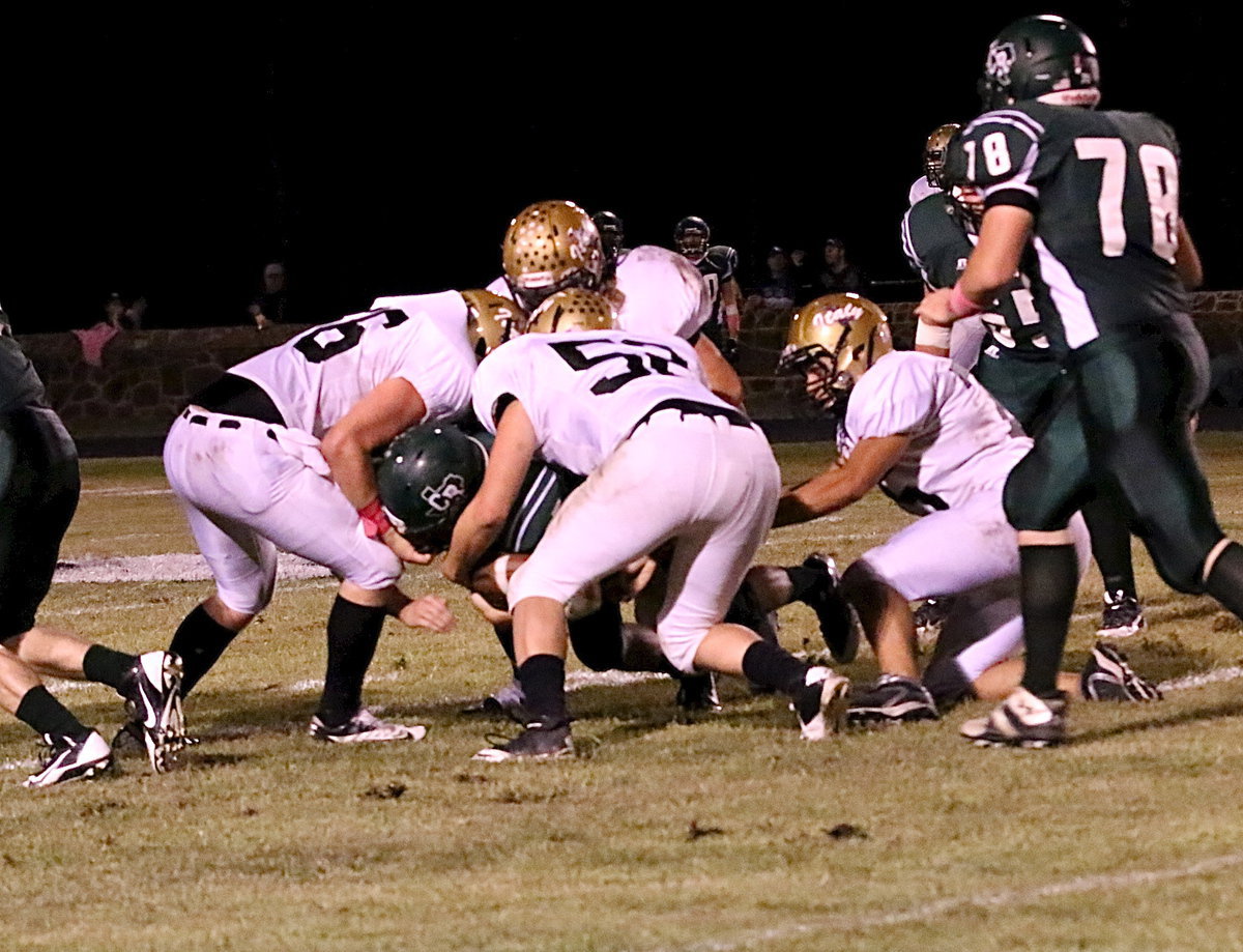 Image: Kyle Fortenberyy(66), Bailey Walton(52), Shad Newman(25) and Cody Medrano(75) trap a Bobcat on the loose.