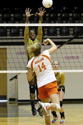 Image: Kortnei Johnson(12) goes up and up for the block.