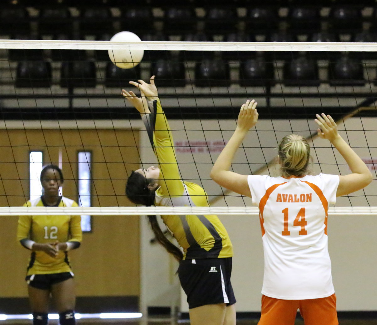 Image: Monserrat Figueroa(15) back sets for her teammates.