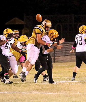 Image: In the fourth-quarter, junior Coby Bland(40) sacks Cayuga’s quarterback from behind and pops the ball out which was recovered by the Gladiators.