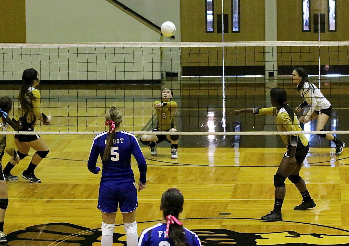 Image: Tara Wallis(5) digs the ball up for teammates to return.