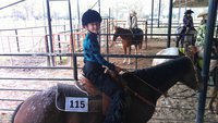 Image: Gentry Rogers of Milford and her pony Santee Grand were in the Top 5 of ECEA’s English and Western Divisions in the 11 &amp; Under age category.