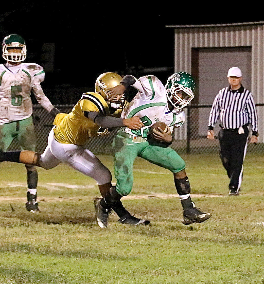 Image: JV Gladiator David De La Hoya(77) steps up and then rips down a Bobcat runner in the backfield.