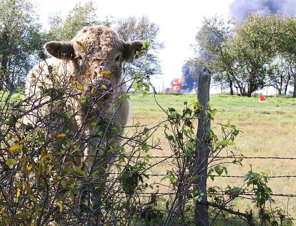 Image: Everyone was concerned early Thursday morning after a gas pipeline explosion outside Milford created a huge smoke cloud that signaled family members to call home and check on loved ones.