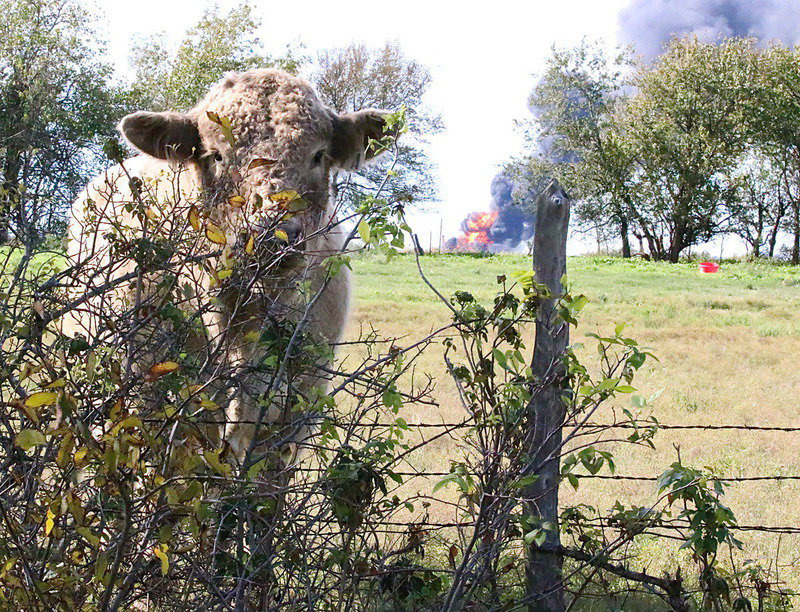 Image: Everyone was concerned early Thursday morning after a gas pipeline explosion outside Milford created a huge smoke cloud that signaled family members to call home and check on loved ones.