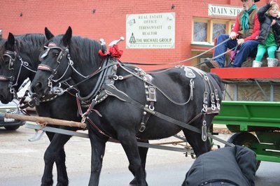 Image: A horse drawn wagon was an exciting addition to this year’s parade
