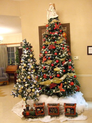 Image: Trinity Mission is all ready for Christmas with all their Christmas trees and decorations.