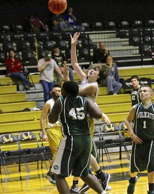 Image: Italy’s, Ryder Itson(10) shoots over a Wildcat defender.
